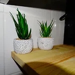 Apartment Suzana 1br